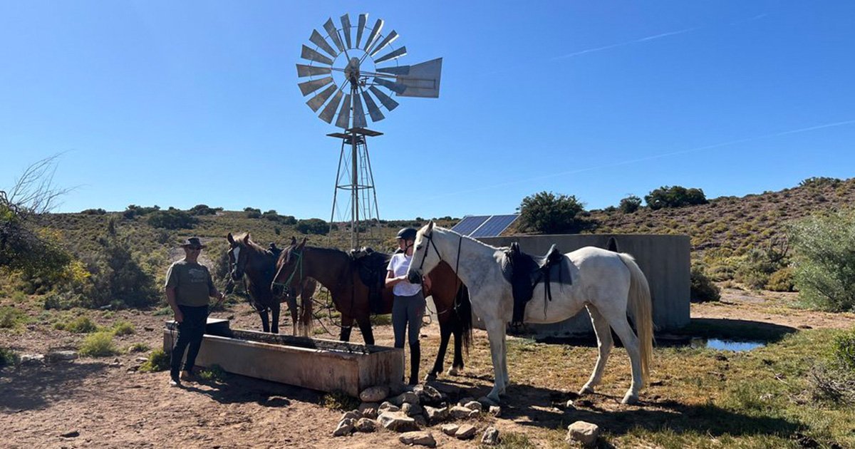 Horse Riding Safari