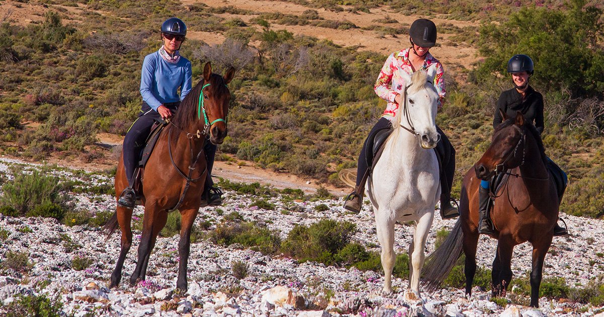 Horse Riding Safari 02