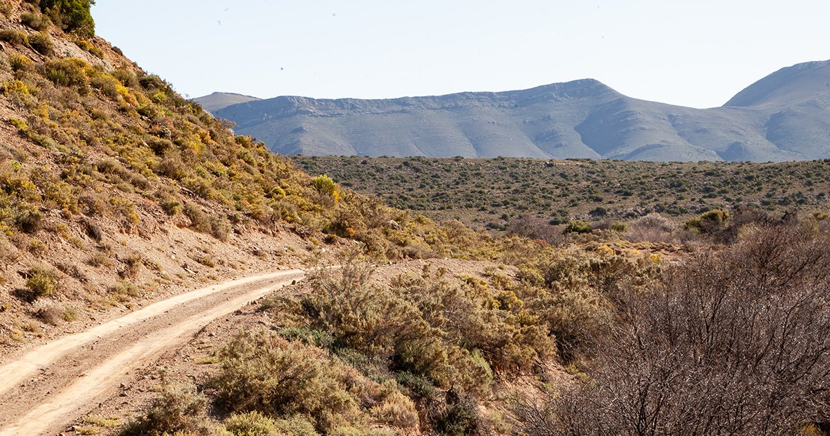 Mountain Biking Safari