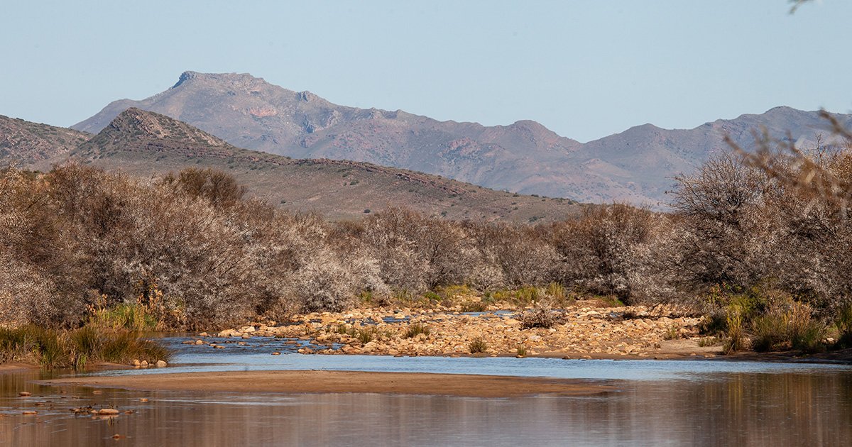 Mountain Biking Safari